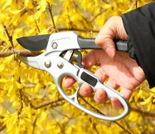 Dụng cụ làm vườn